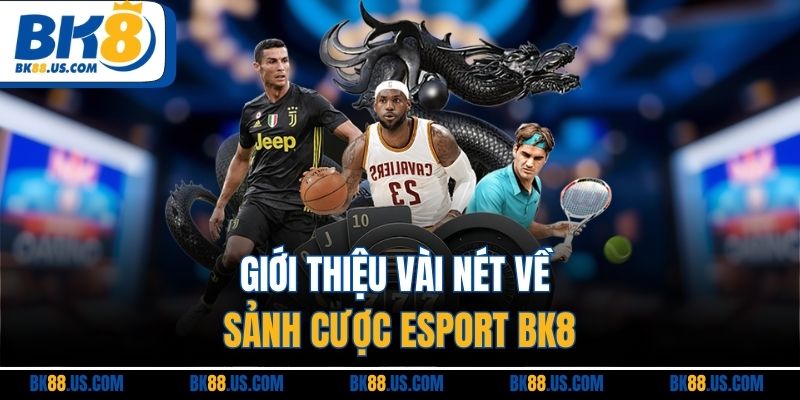 Giới thiệu vài nét về sảnh cược Esport BK8